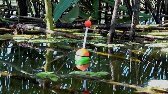 Рыбалка на поплавок| ловим на поплавок