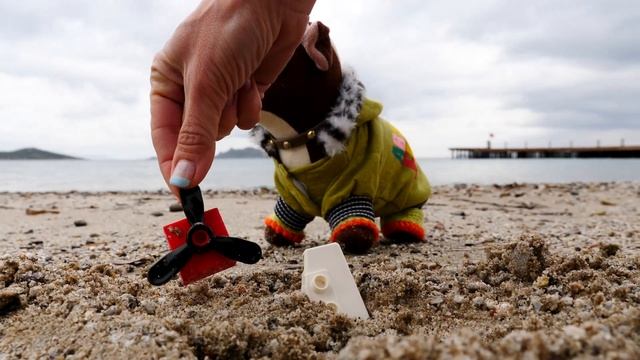Машинки и Маша Капуки на пляже. Видео для детей Капуки Кануки. Давай почитаем по слогам