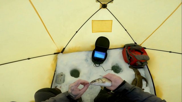 Рыбалка. Попытка номер ...ни пять 😉 16.03.2025