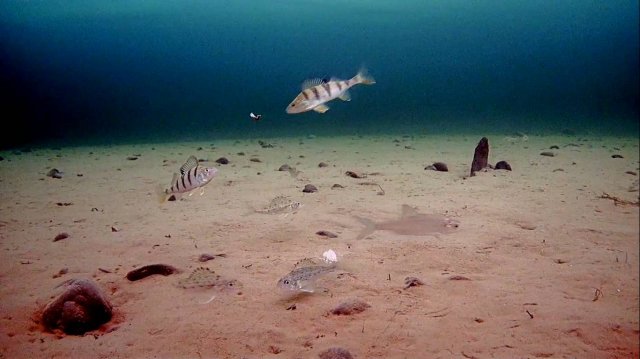 Вот такая рыбалка🤦🏻