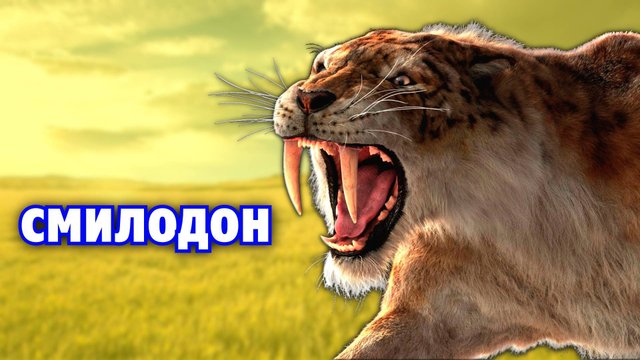 Саблезубый тигр | СМИЛОДОН | Вымершие животные. Видео про животных