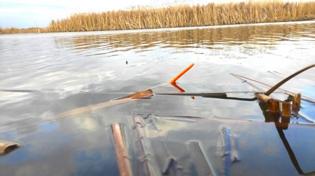 САДКИ ЛОМЯТСЯ ОТ РЫБЫ - КАРАСИ МОНСТРЫ, САЗАНЫ!!!! РЫБАЛКА НА ПОПЛАВОК ВЕСНОЙ