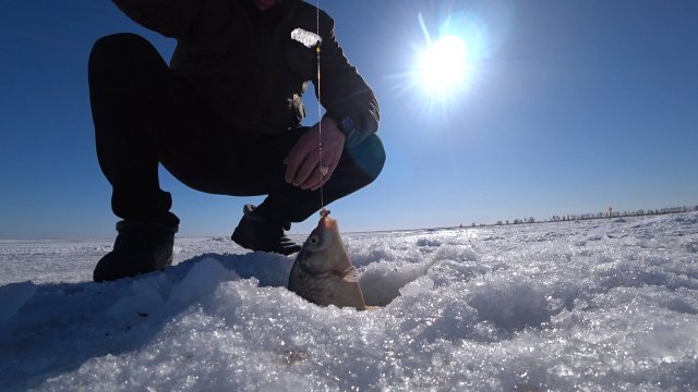 Таких карасей я еще не видел !Рыбалка на Чанах часть 4 Заключительная !