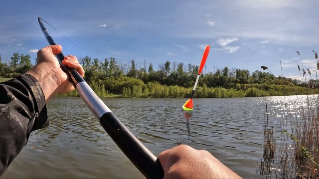 Ловля карпа и сазана на фидеры и удочку с поплавком. Херабуна. Карпы САЗАНЫ не дают скучать