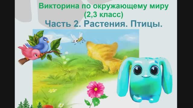 Викторина. Растения. Птицы. Часть 2. Квиз. Видео вопросы  по окружающему миру