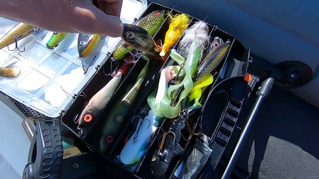 Охота на ТРОФЕЙНЫХ ЩУК и катушка TiCA Titan CLAW 301