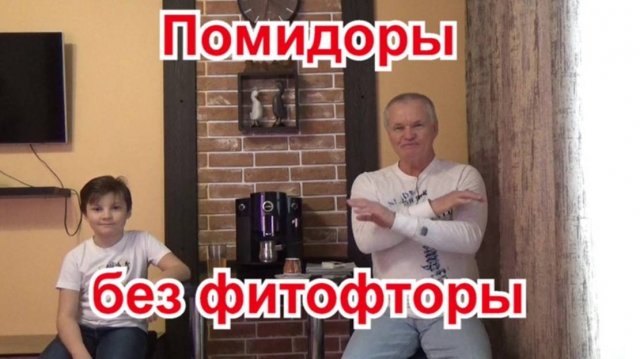 98. Помидоры без фитофторы - очень просто, и без всяких обработок!