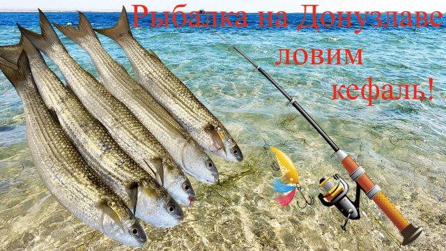 Рыбалка на Донузлаве ловим кефаль!