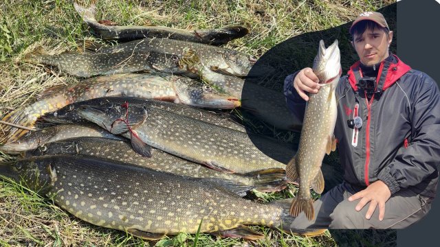 ЩУЧЬЕ ЭЛЬДОРАДО ВЕСНОЙ!!! НЕВЕРОЯТНАЯ РЫБАЛКА, ВСЁ С ОДНОГО МЕСТА!
