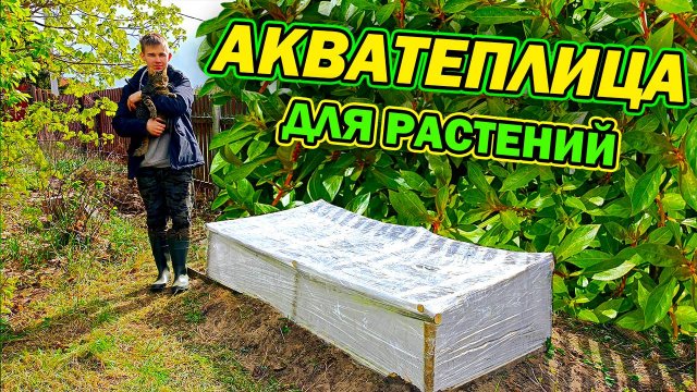 Запуск акватеплицы с аквариумными растениями