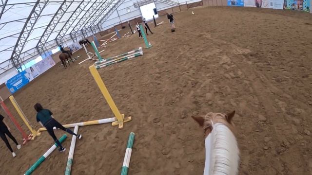 Конкур. Тренировка от первого лица!!!