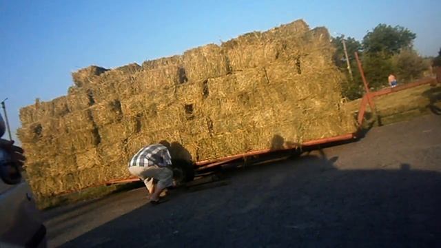 Возим тюки Трактор Беларус 920 и сумасшедшая телега Tractor the crazy cart #vseklevo #синийтрактор