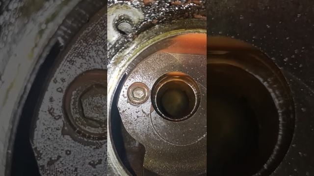 Почему попадает масло в антифриз в бензиновых моторах