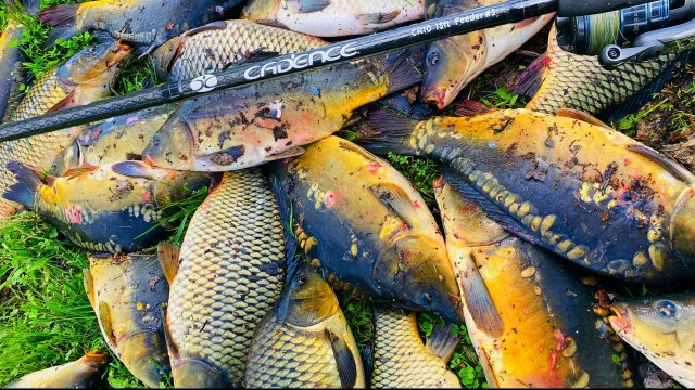 ТАКУЮ РЫБАЛКУ НЕ ЗАБУДЕШЬ! Рыбалка на фидер Ловля весной