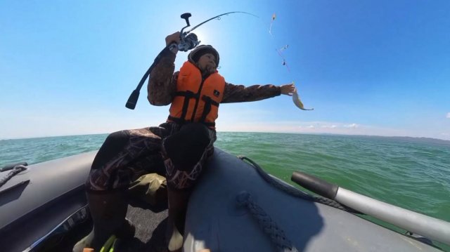 Съездили на море, отдохнули и порыбачили..