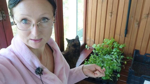 Видео привет с балкона 15 мая 2025 года. Рассада готовится к переезду.Томится.