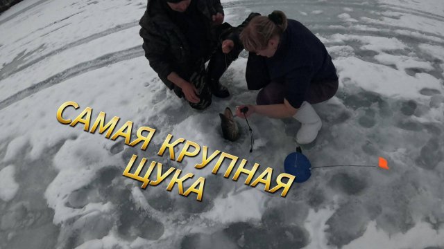 Обучаю ДЕВУШКУ вываживанию ЩУКИ