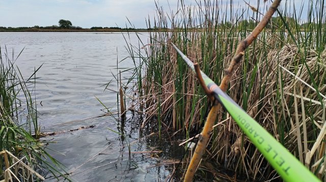 ЛОВЛЯ КАРАСЯ НА ПОПЛАВОК. Рыбалка весной на маховую удочку