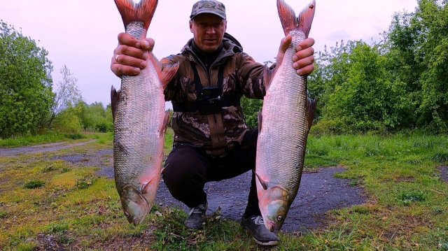 ОТ ЭТИХ ПОКЛЁВОК РУКИ ТРЯСУТСЯ и ЭМОЦИИ ЗАШКАЛИВАЮТ!!!