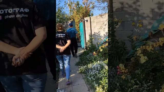 Алматы.Коррекция поведения собаки.+7 707 529 93 63 Мурат.