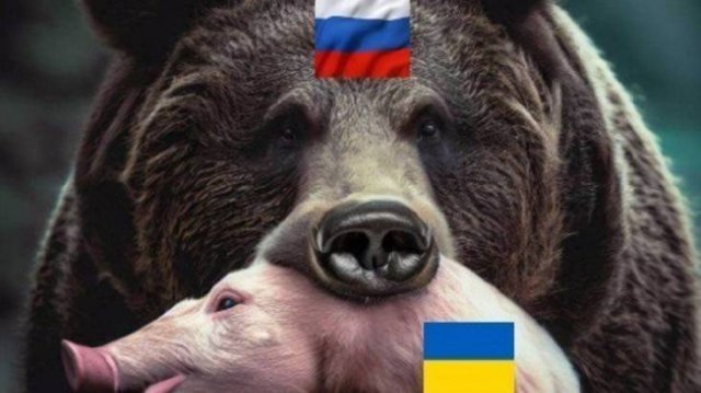 🔴Пленные древние укры🔴