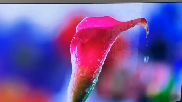 Телевизор Haier 50 S2 Pro СТОИТ ЛИ БРАТЬ