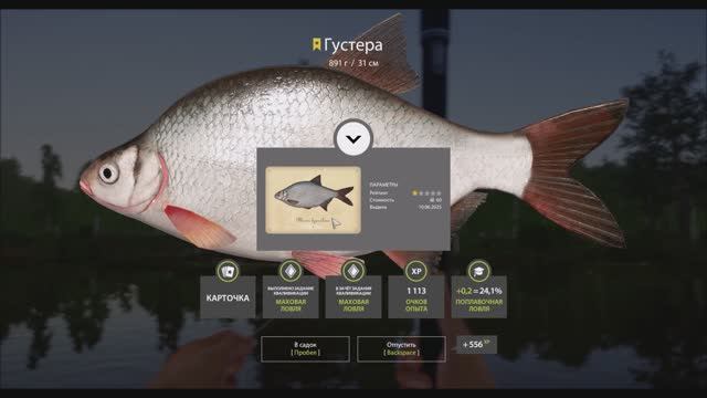 трофейная Густера с карточкой, озеро Комариное, игра Русская рыбалка 4