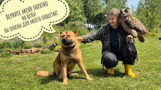 Несём сову филина Ёлку к цветам люпинам, пугаем Пса Кубика злой совой, показываем пузико совы