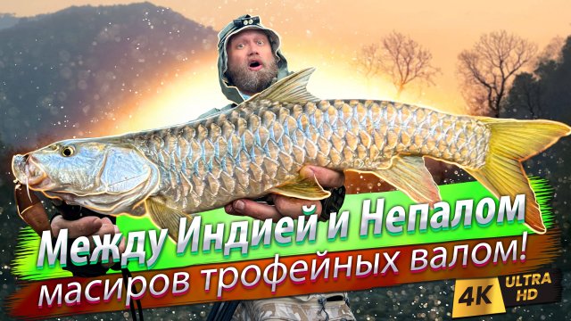 🇮🇳🇳🇵 В Гималаи за масиром! Золотой масир на реке Калисарда
