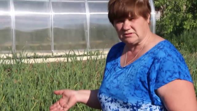 Я НИКОГДА не остаюсь без земляники! Секрет, о котором молчат все соседи!