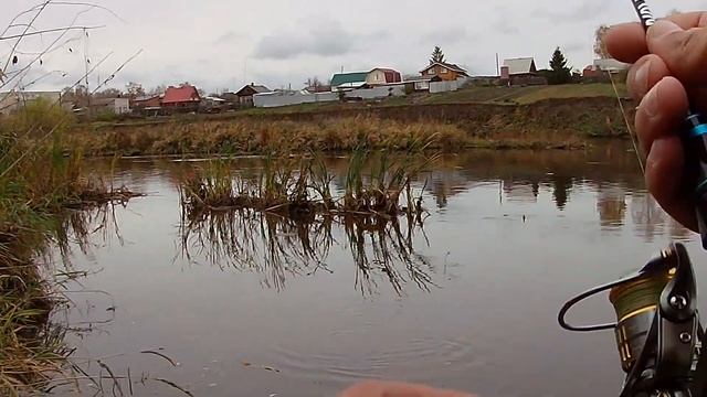 Ловля плотвы на мормышку осенью. Мормышинг на реке осенью