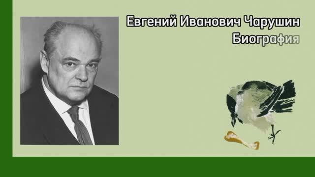 Биография Евгения Чарушина