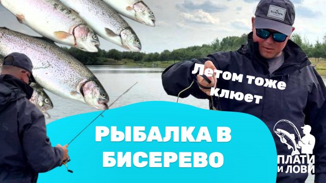 #7 КАК ЛОВИТЬ ПАССИВНУЮ ФОРЕЛЬ ЛЕТОМ? РЫБАЛКА НА ПЛАТНИКЕ. Бисеровский рыбокомбинат