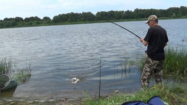 Рыбалка в Июле на Леща на Оке 2025! Петля На Крючке! Сало на Леща!