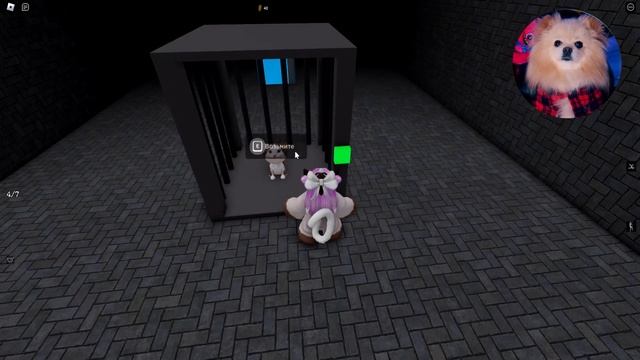 СПАСАЮ МАЛЕНЬКИХ КОТЯТ ! ГИГАНТСКАЯ ГОЛОВА СОБАКИ БЕЖИТ ЗА МНОЙ В РОБЛОКС | Doge Head Escape ROBLOX