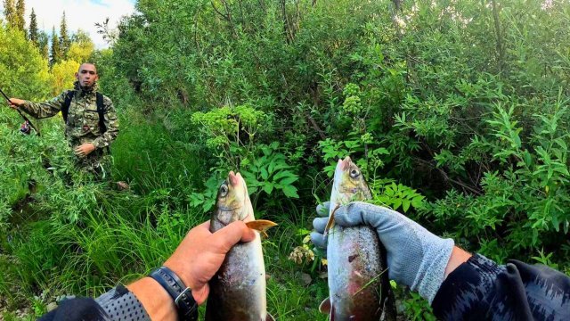 ЛЕНКИ на Таёжной Речке Кута Июль 2025 / ЩУКА / ОКУНЬ