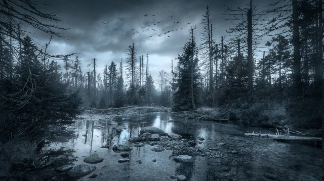 ТАЙГА. МИСТИЧЕСКИЕ ИСТОРИИ ТАЕЖНЫХ ОХОТНИКОВ.