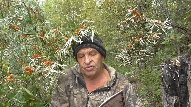 ОХОТНИКИ и охотники