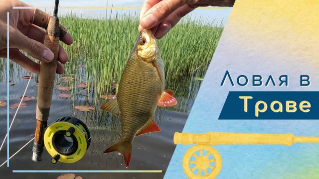 Синелевый червь и ловля красноперки на Финском заливе