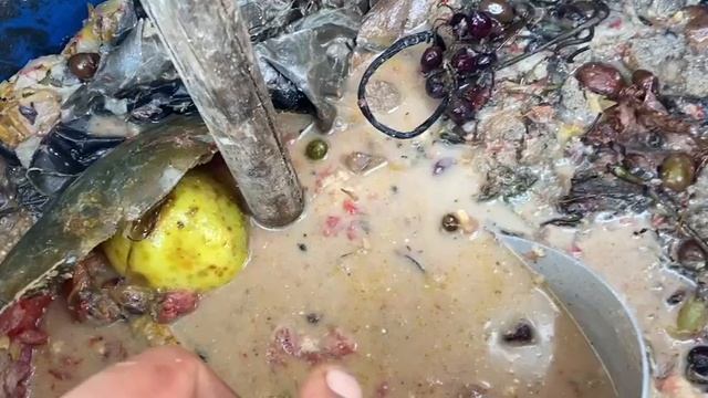 Новые свойства барматухи.