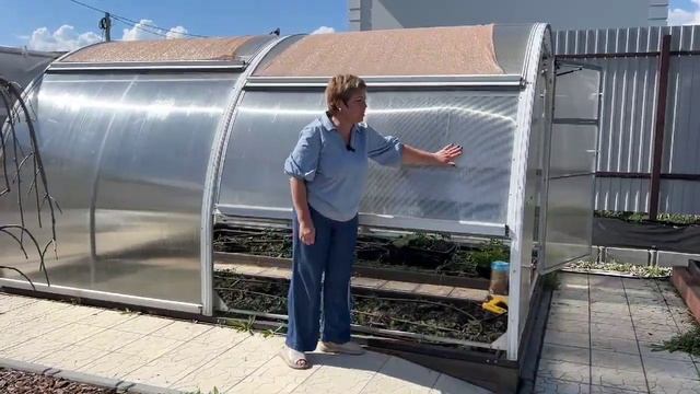 Обзор теплицы ТЮЛЬПАН АНТИШТОРМ на 3-й год использован