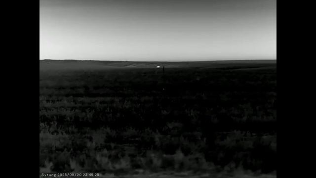 Удачный вечер охоты на шакала в Волгоградких степях. Прицел Sytong XM06-50LRF.