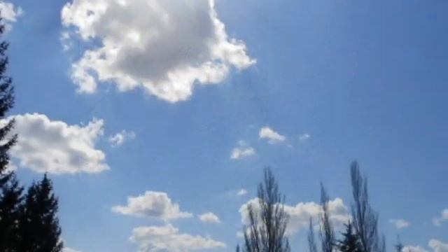 Отчего так в России берёзы шумят С.Безруков - Любэ