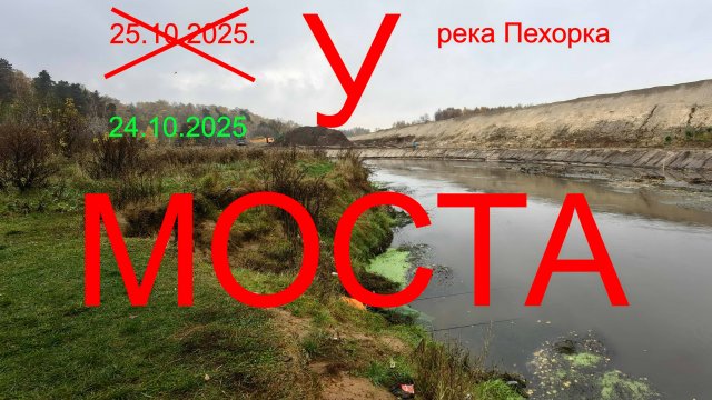 Трилогия "Пехорка".  У МОСТА. 24.10.2025. река Пехорка. п. Красково. Рыбалка в Подмосковье.