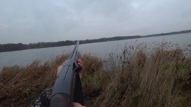 Вечерний выход по утка. Охота в Ленинградской области сезон 2025-2026 ,30.10.2025