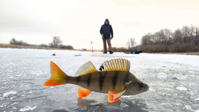 ПЕРВЫЙ ЛЕД 2025 ОТКРЫТИЕ ловля окуня на балансир