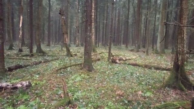 Как я попал в нехорошее и как из него выбрался
