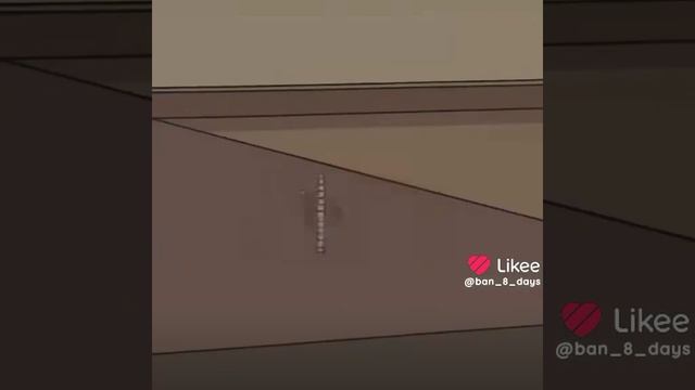 Антон Чигур эдит