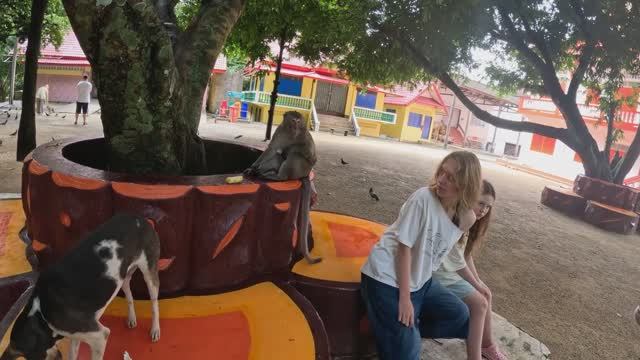 Обезьяны у пещерного храма Ват Суван Куха, Таиланд.