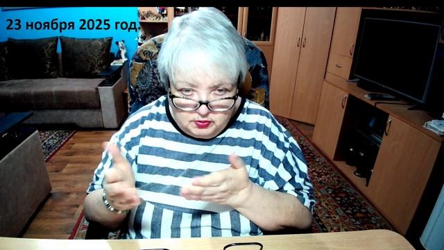 23 ноября 2025 год